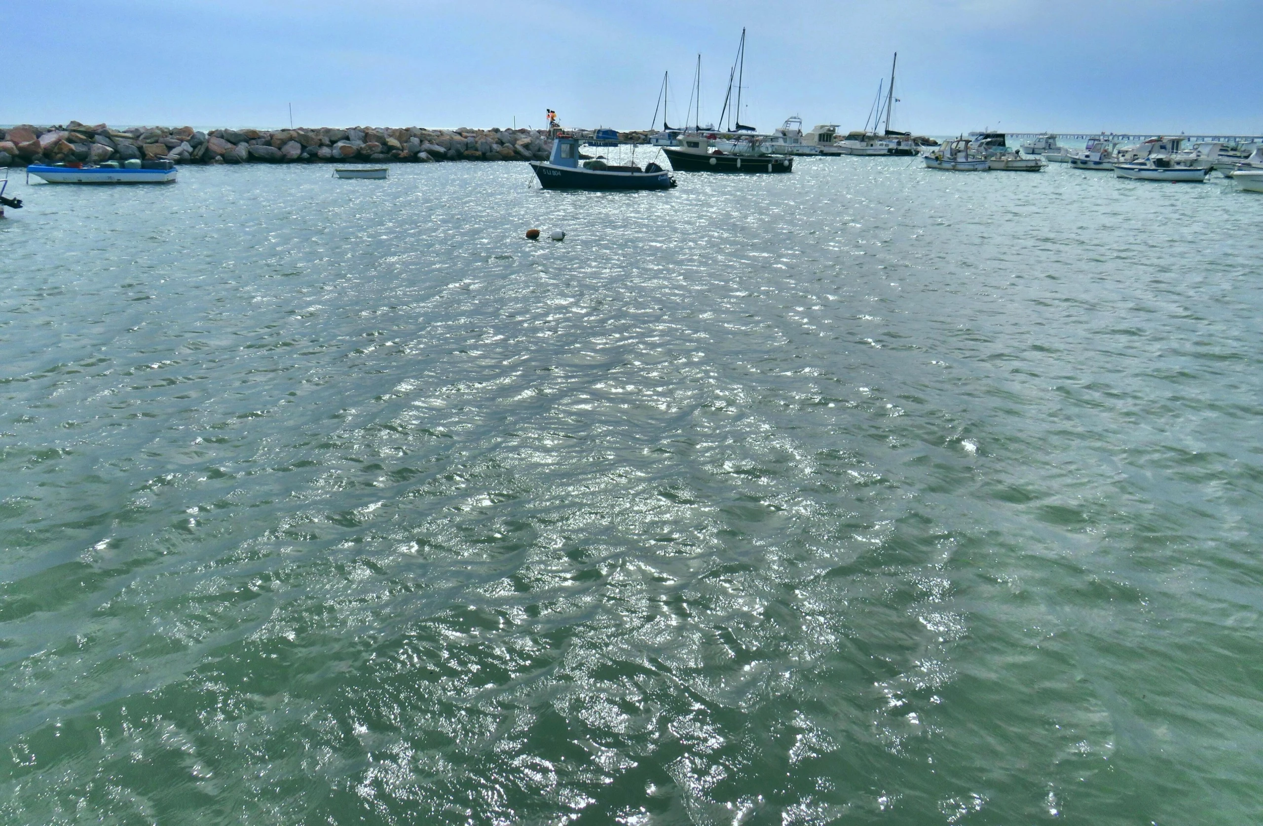 Blick auf die Küste von Castiglioncello