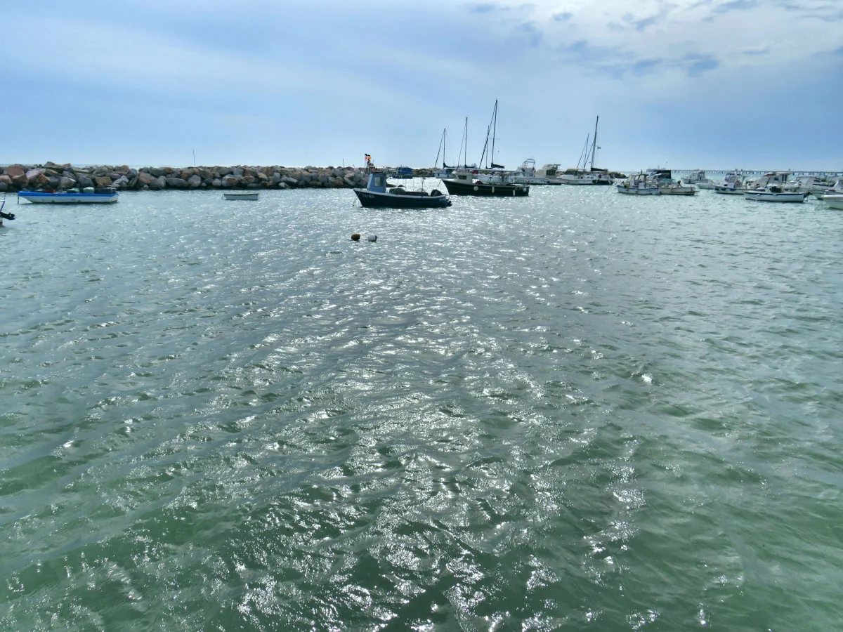 Blick auf die Küste von Castiglioncello