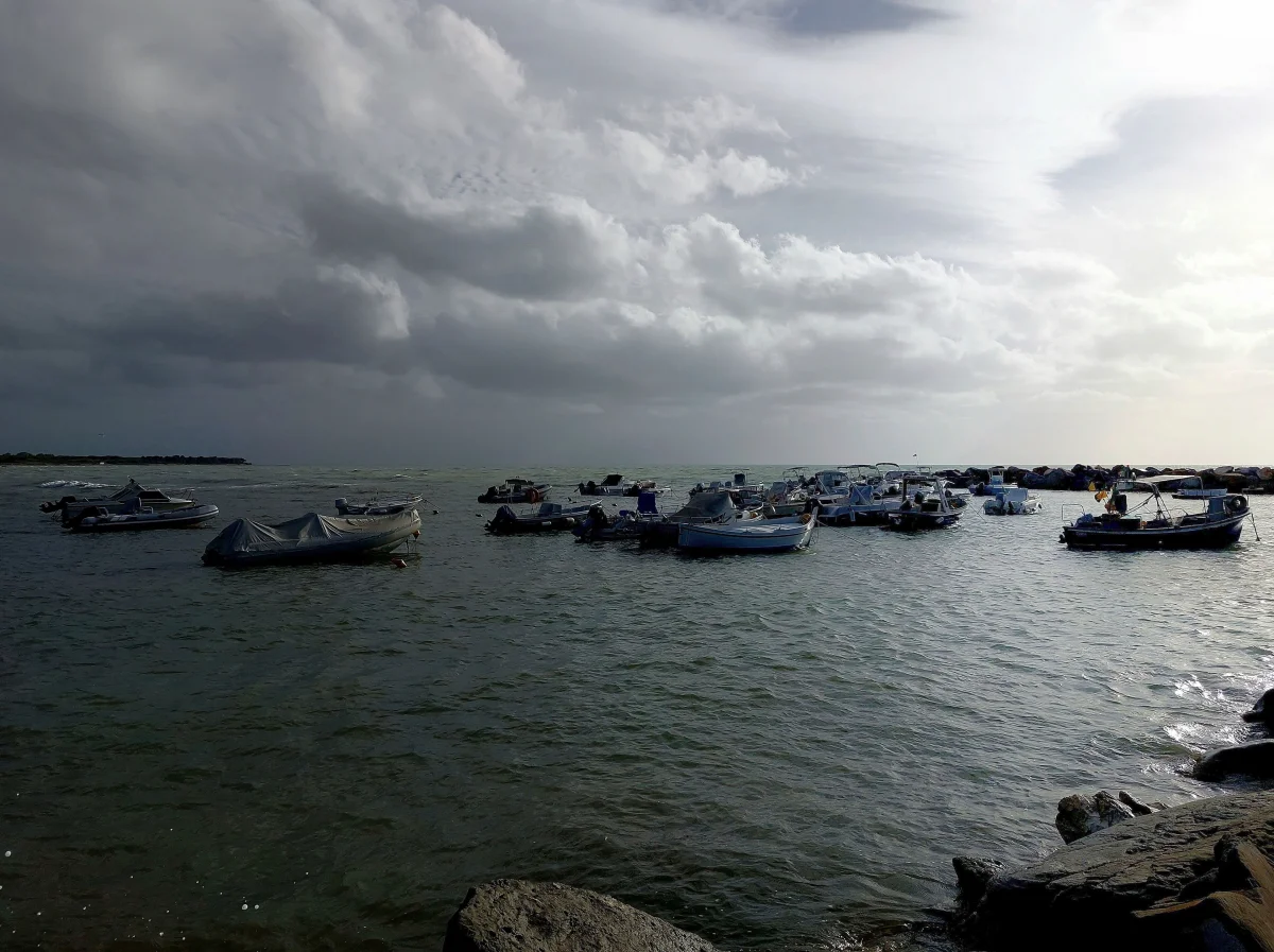 Blick auf die Küste von Castiglioncello